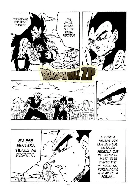 Página 12